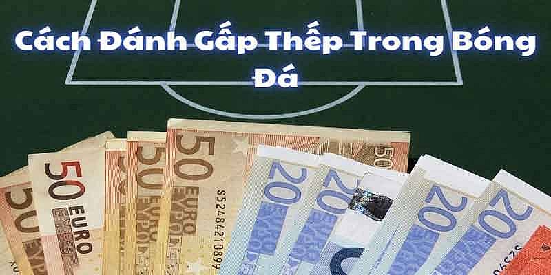 Đánh cược gấp thếp nhanh chóng với 3 bước đơn giản