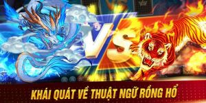 Tổng quan về thuật ngữ Rồng Hổ